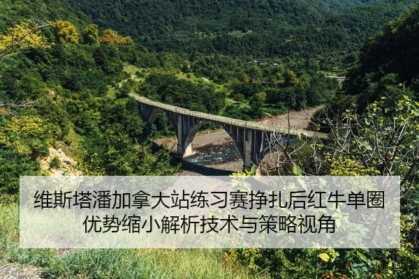 维斯塔潘加拿大站练习赛挣扎后红牛单圈优势缩小解析技术与策略视角