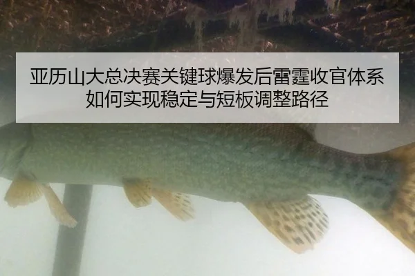 ya-li-shan-da-zong-jue-sai-guan-jian-qiu-bao-fa-hou-lei-ting-shou-guan-ti-xi-ru-he-shi-xian-wen-ding-yu-duan-ban-tiao-2-921.jpg